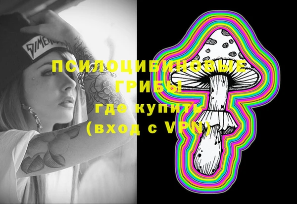 дживик Абаза