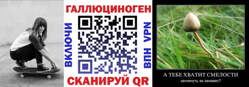 Галлюциногенные грибы GOLDEN TEACHER  Анапа 