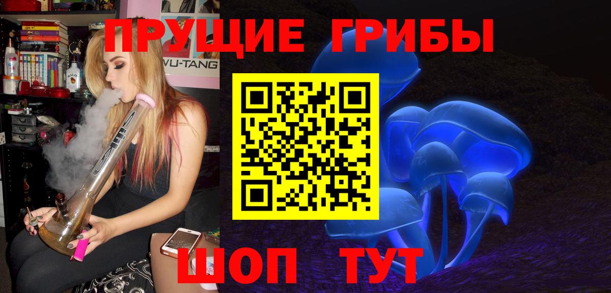 Псилоцибиновые грибы мицелий Анапа